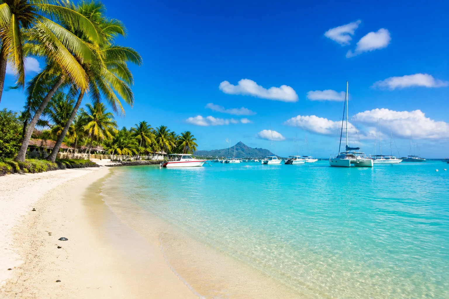 Paradis tropical a grand baie maurice
